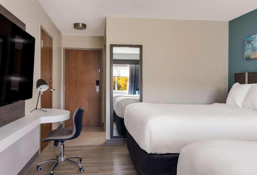 スイート, Mainstay Suites Clarion, Pa Near I80