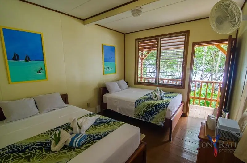 シングルデラックスルーム, Pelican Beach Resort South Water Caye