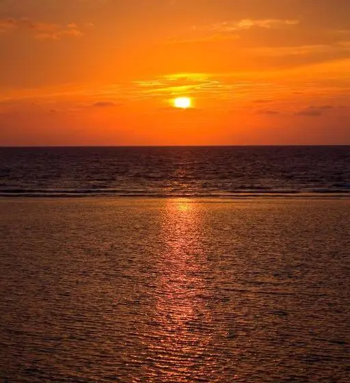 シングルデラックスルーム, Pelican Beach Resort South Water Caye