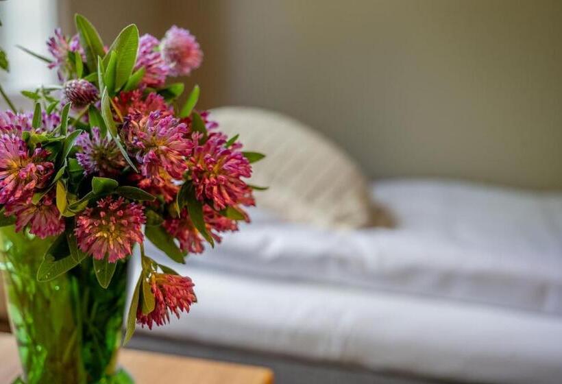 Номер Стандарт Индивидуальный, Raggsocka Logi