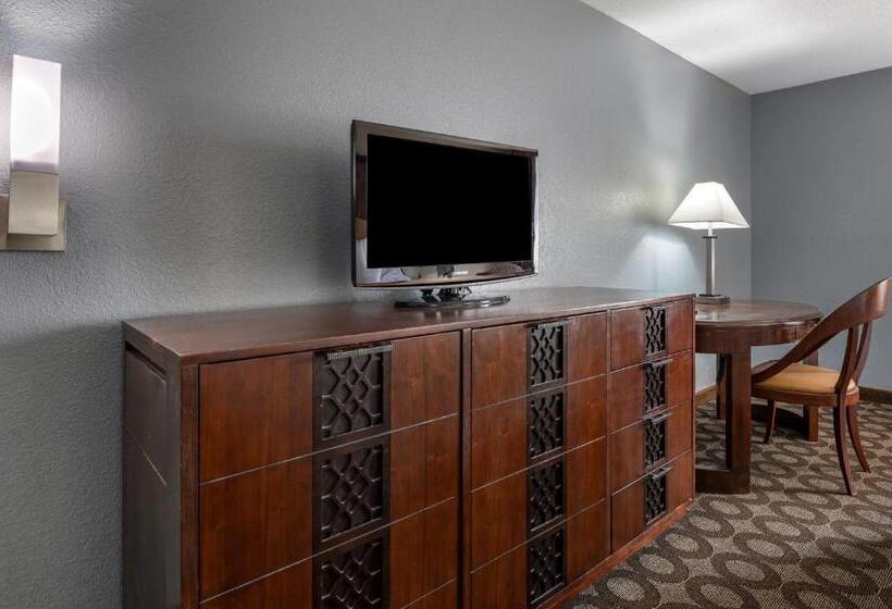 اتاق استاندارد با تخت بزرگ برای معلولان, Suburban Studios Lafayette