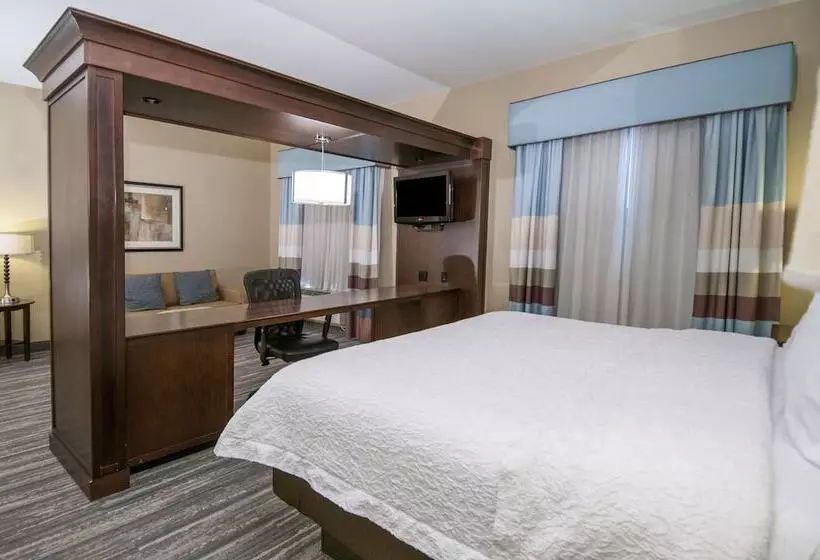 スタンダードルーム, Hampton Inn & Suites Baton Rouge/port Allen