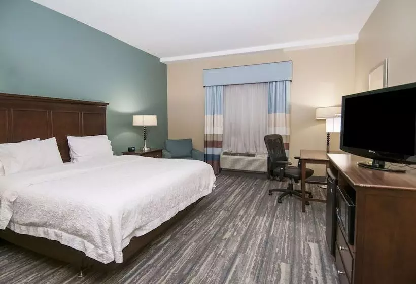 スタンダードルーム, Hampton Inn & Suites Baton Rouge/port Allen