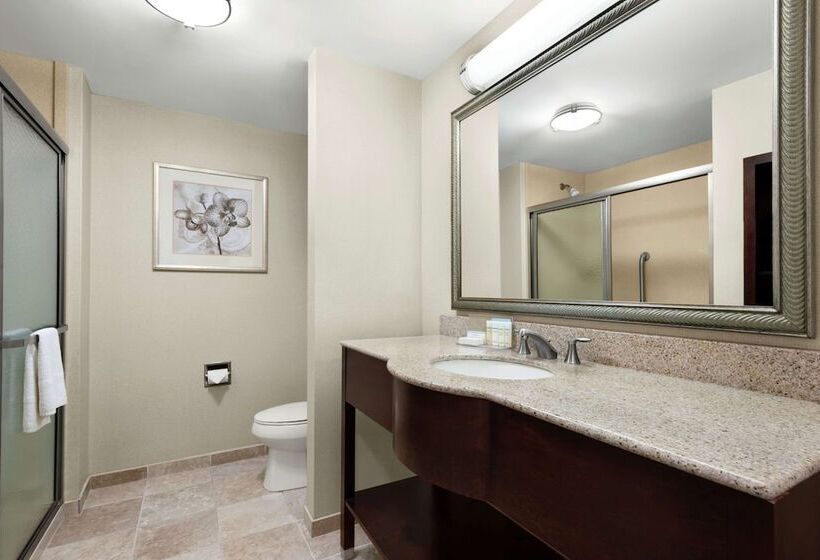חדר סטודיו סטנדרד, Hampton Inn & Suites Brunswick