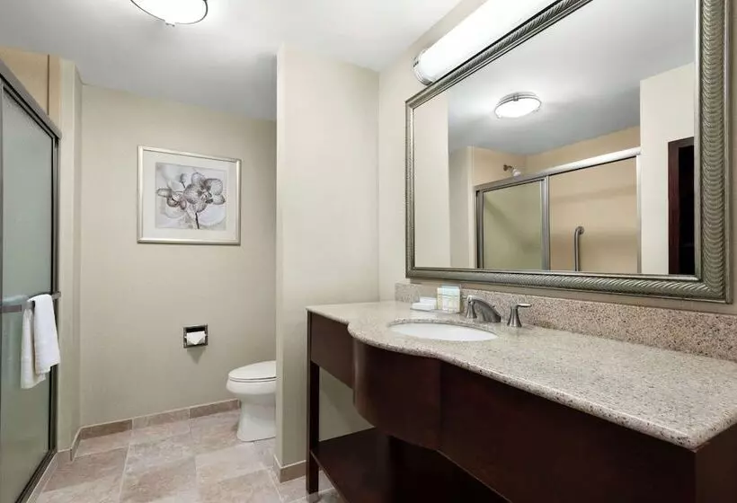 スタンダードスタジオ, Hampton Inn & Suites Brunswick