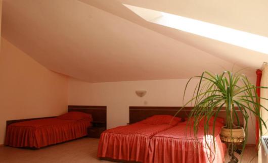 주니어 스위트, Alafrangite