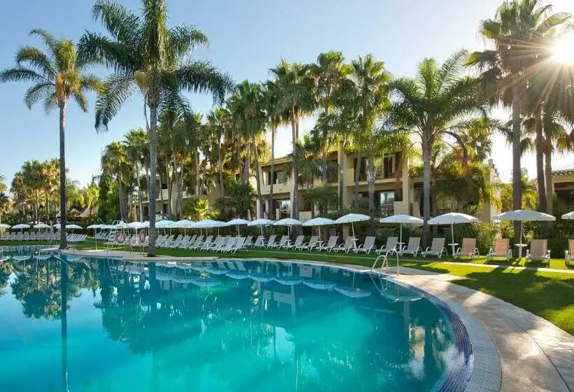 اتاق سوپریور, Bluebay Banus