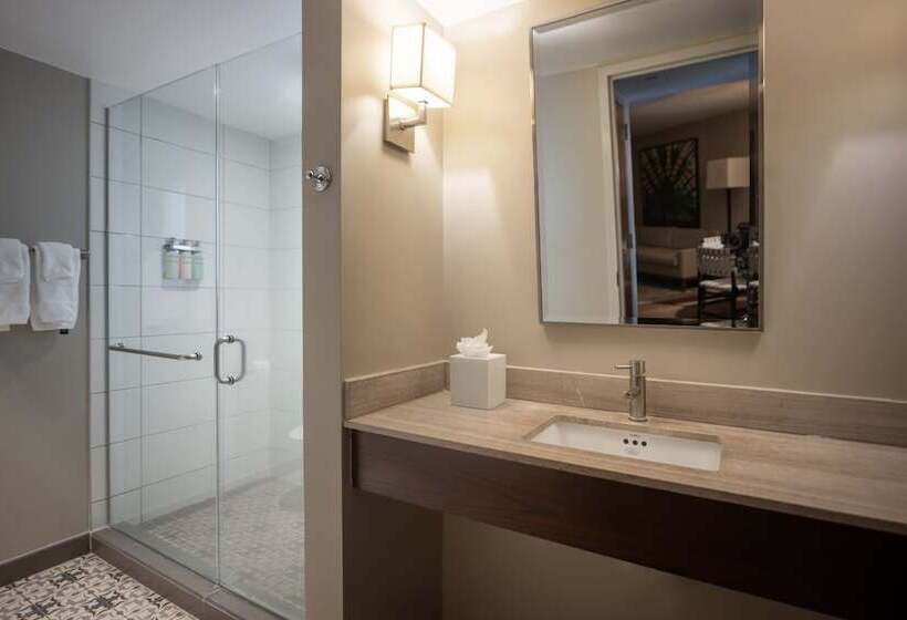 סוויטה עם נוף לעיר, Contessa Suites On The Riverwalk