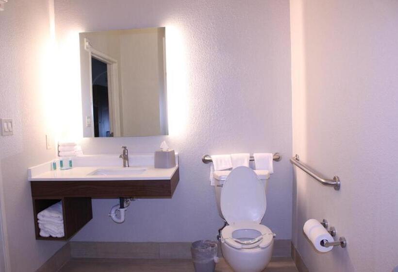 스탠다드 룸 킹사이즈 침대, Holiday Inn Express Hotel & Suites Mansfield, An Ihg