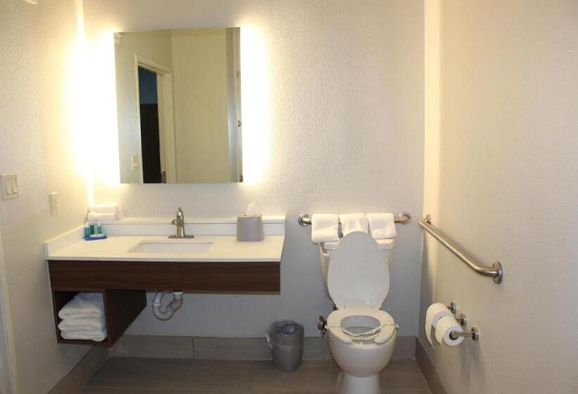 Стандартный Номер Кровать Кинг, Holiday Inn Express Hotel & Suites Mansfield, An Ihg