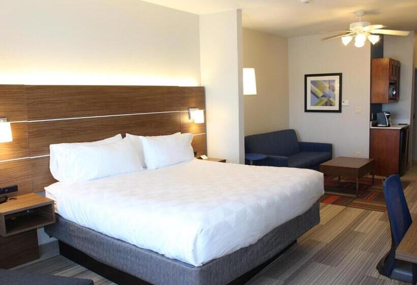 스위트 킹사이즈 침대, Holiday Inn Express Hotel & Suites Mansfield, An Ihg