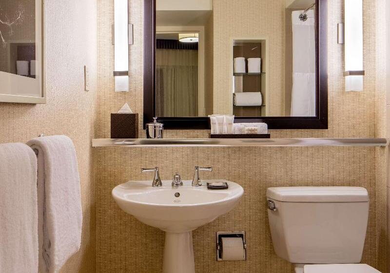 스위트, Holiday Inn Express Hotel & Suites Mansfield, An Ihg