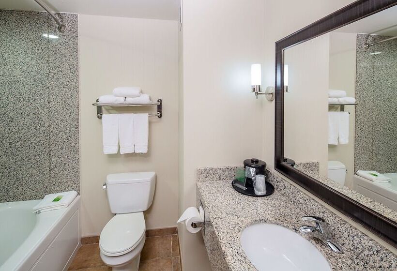 스탠다드 룸, Holiday Inn Express Augusta North, An Ihg