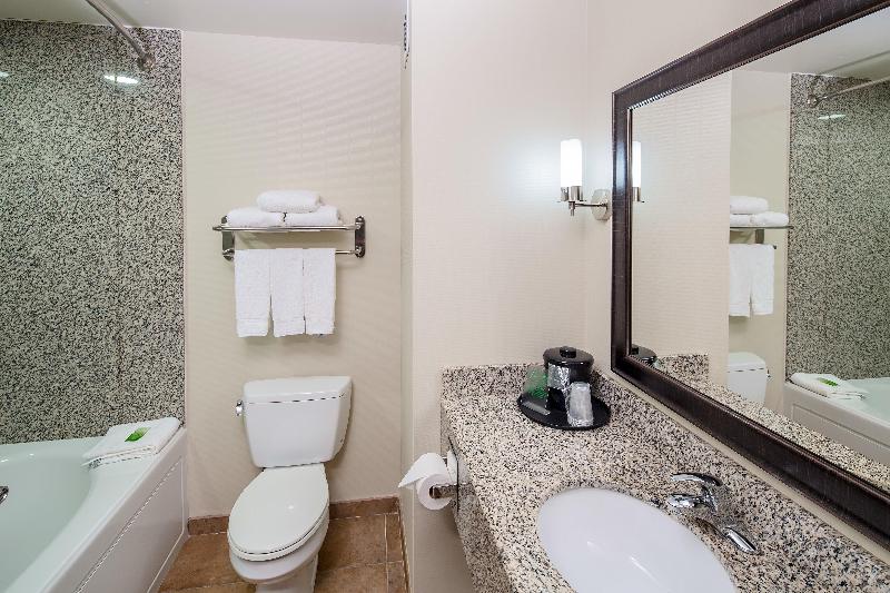 חדר סטנדרט עם מיטת קינג, Holiday Inn Express Augusta North, An Ihg
