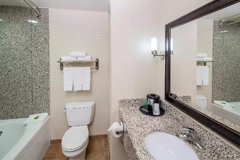 キングサイズベッドのスタンダードルーム, Holiday Inn Express Augusta North, An Ihg