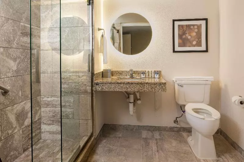 身障者適用キングサイズベッドルーム, Holiday Inn Express Augusta North, An Ihg