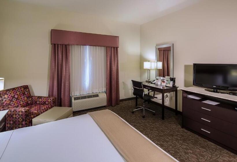 스탠다드 룸 킹사이즈 침대, Holiday Inn Express Augusta North, An Ihg