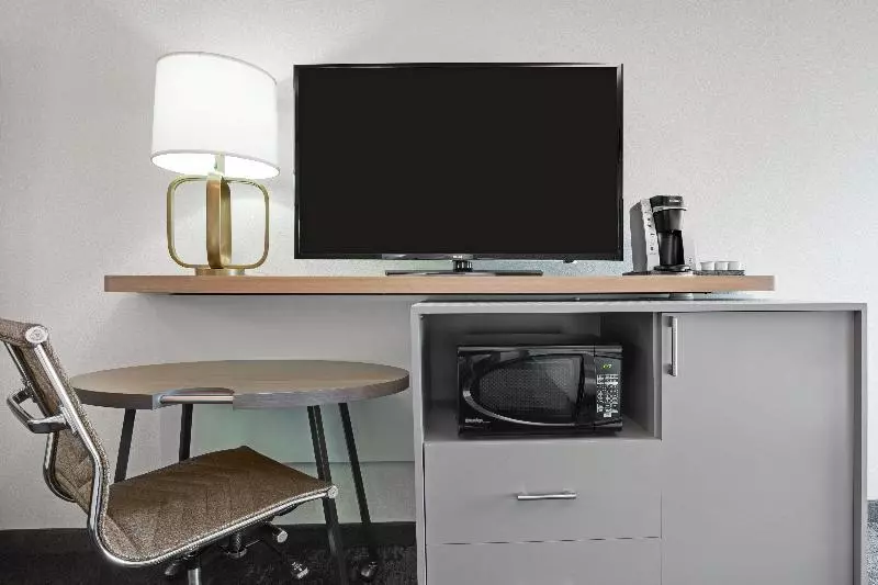 身障者適用キングサイズベッドルーム, Holiday Inn Roanoke Airport   Conference Ctr, An Ihg