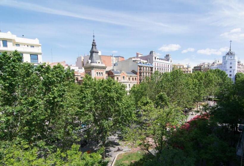 景色の見えるスーペリアルーム, Petit Palace Santa Barbara