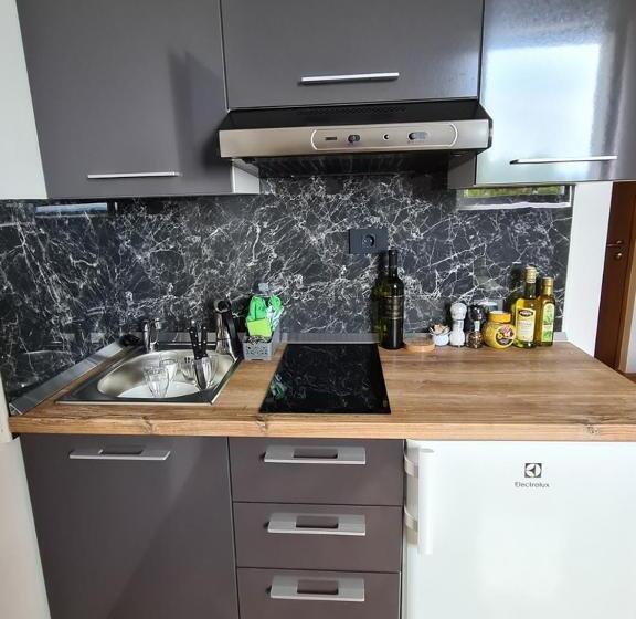 استودیو خانوادگی, Artrock Residence