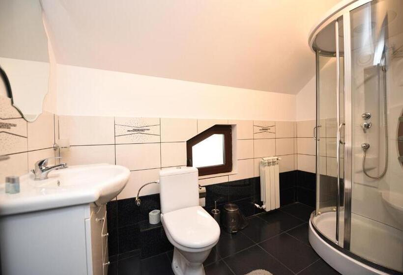 חדר סטנדרט לשלושה, Pensiunea Avy