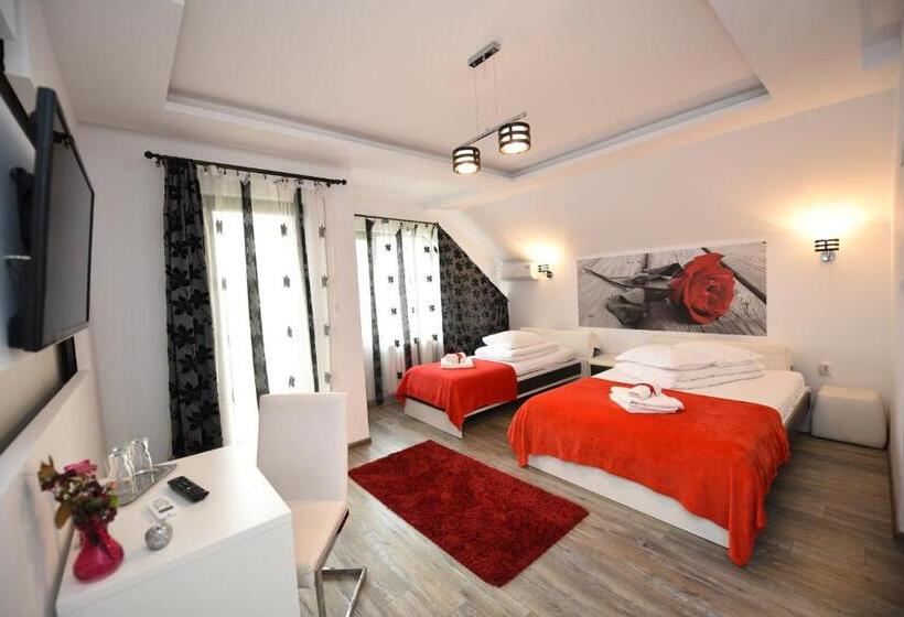 חדר סטנדרט לשלושה, Pensiunea Avy