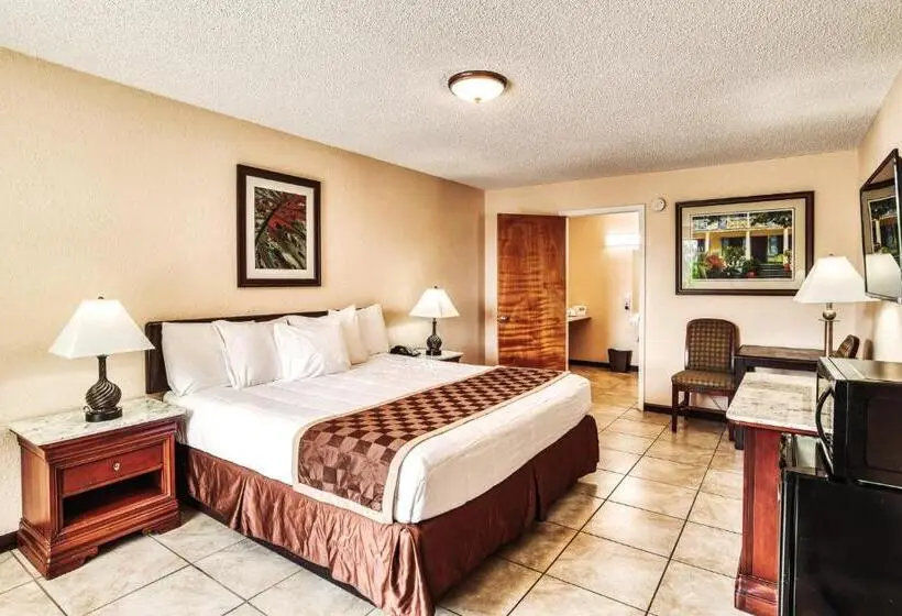 身障者適用キングサイズベッドルーム, Palms Garden Inn