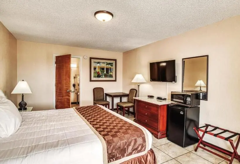 身障者適用キングサイズベッドルーム, Palms Garden Inn