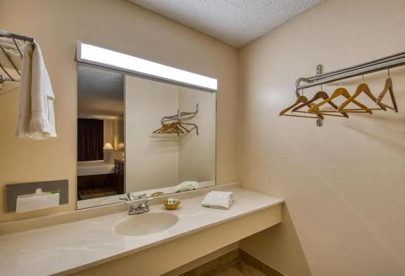 キングサイドベッドのスタンダードワンルーム, Palms Garden Inn