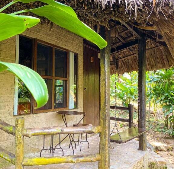 اتاق استاندارد, Maya Bell