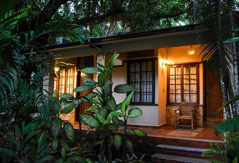 اتاق استاندارد, Maya Bell