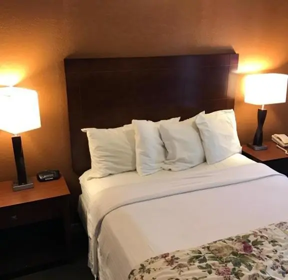 シングルデラックスルーム, Gold Pan Lodge