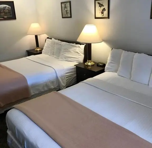 デラックスルーム, Gold Pan Lodge