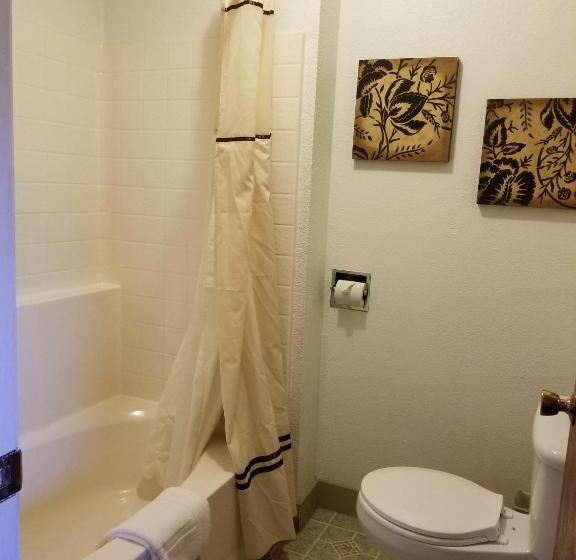 Номер Deluxe Кровать Кинг, Gold Pan Lodge