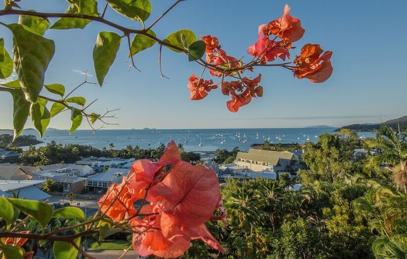 Апартаменты 1 Спальня Вид на Море, At Water's Edge Resort