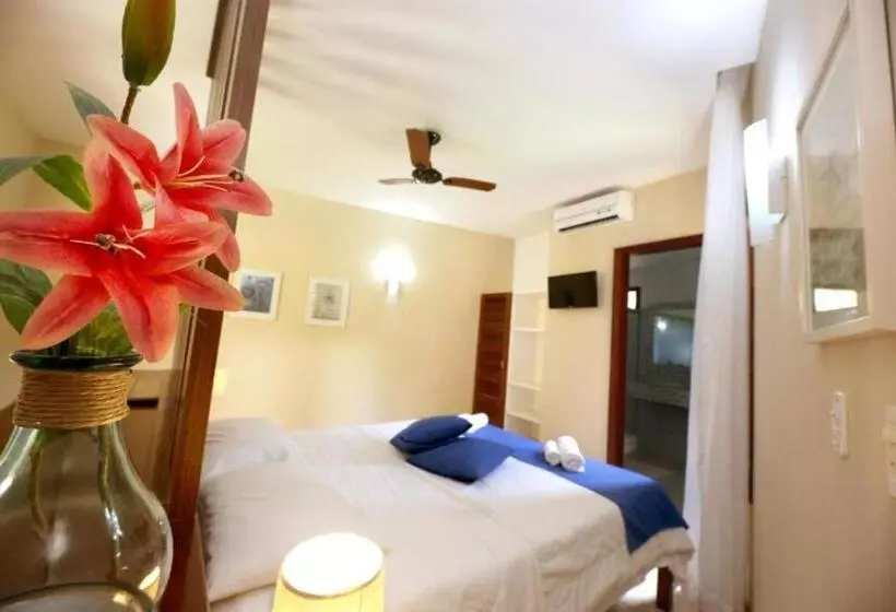 کلبه ییلاقی سوپریور یک خوابه, Brasil Tropical Village