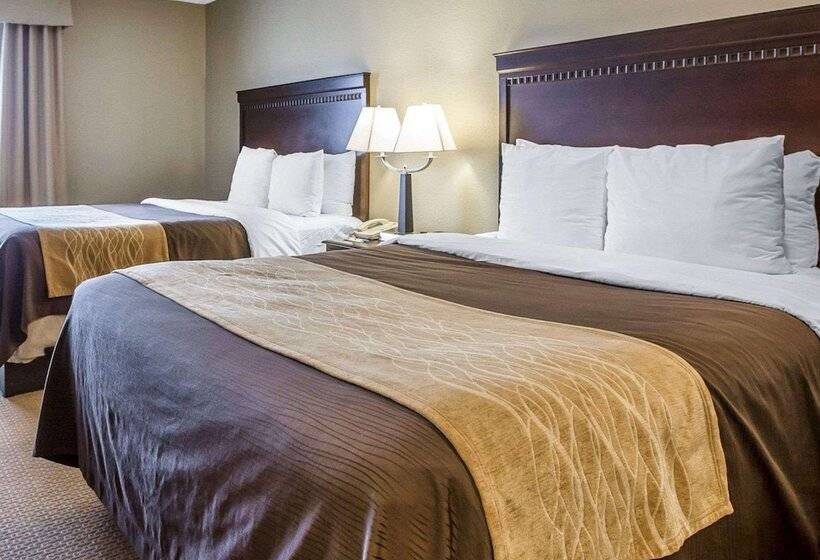 جناح, Comfort Inn & Suites Near Tinley Park Amphitheater