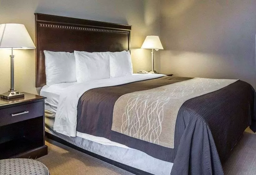 スイート, Comfort Inn & Suites Near Tinley Park Amphitheater