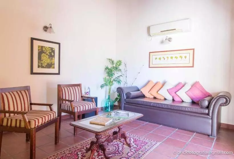 سوییت اجرایی, Delvino Boutique
