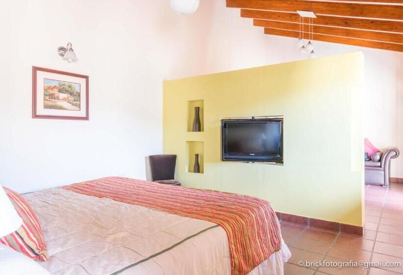 이그제큐티브 스위트, Delvino Boutique