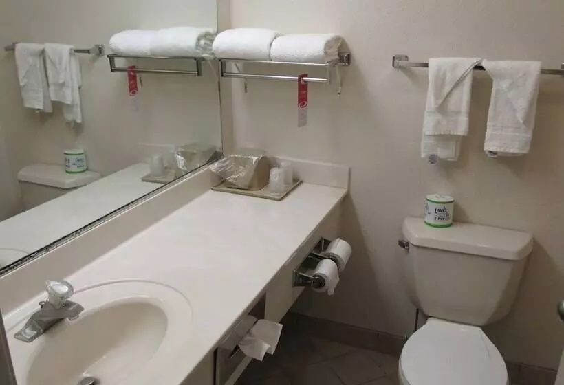 身障者適用キングサイズベッドルーム, Econo Lodge