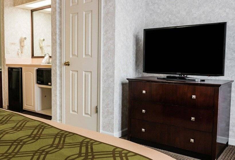 Люкс, Econo Lodge & Suites