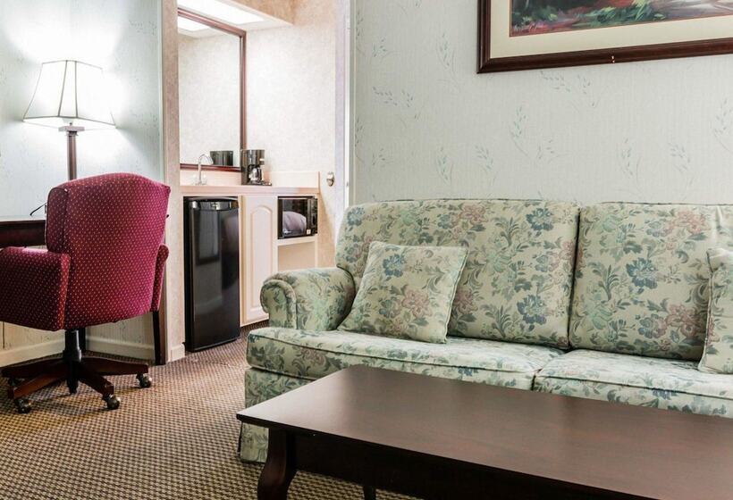 Люкс, Econo Lodge & Suites