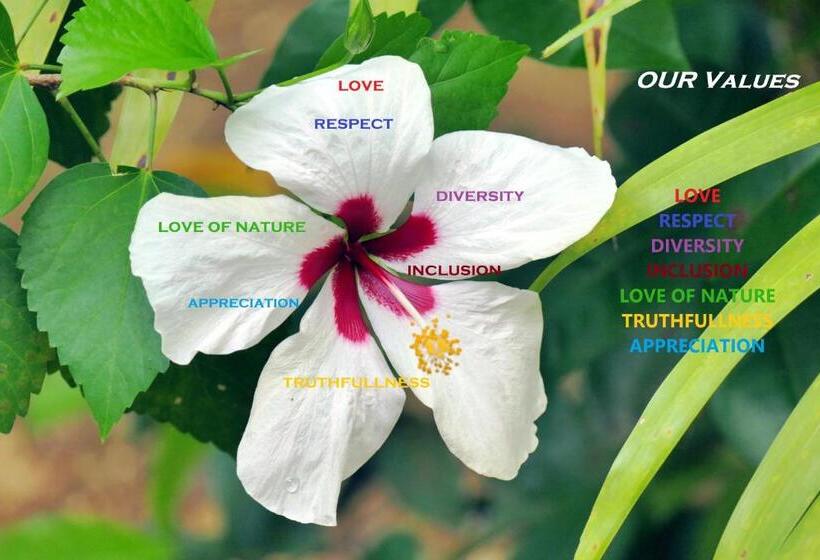 خانه 1 خوابه, Lighthouse Inn 2