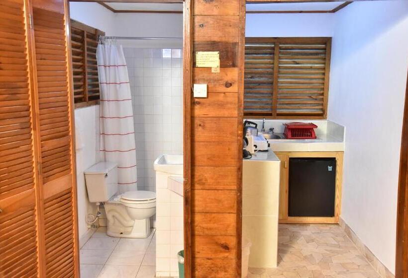 استودیو استاندارد با چشم‌انداز باغ, Lighthouse Inn 2