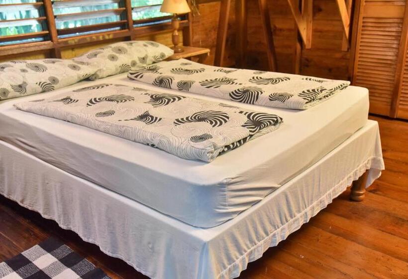 استودیو استاندارد با چشمانداز باغ, Lighthouse Inn 2