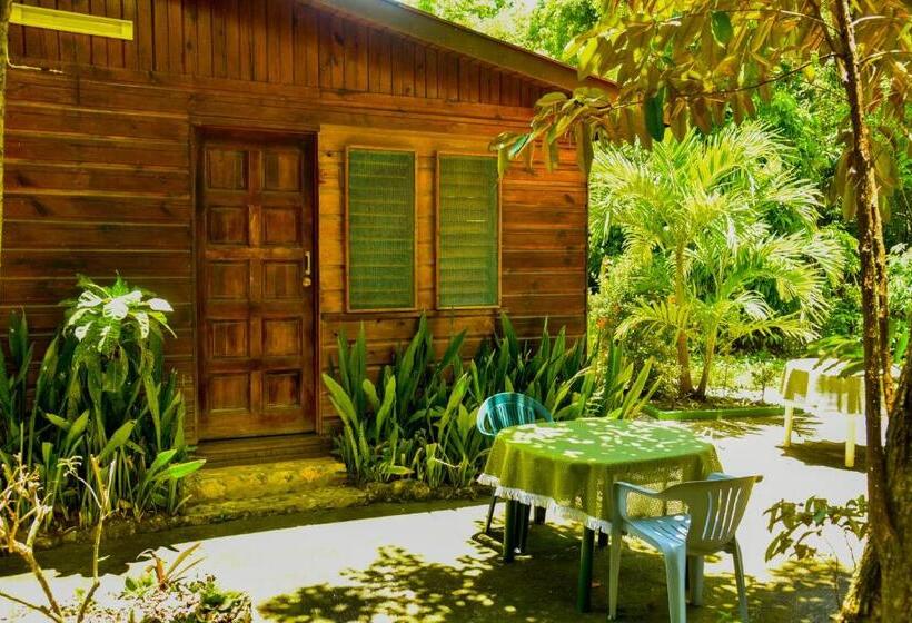 استودیو استاندارد با چشمانداز باغ, Lighthouse Inn 2