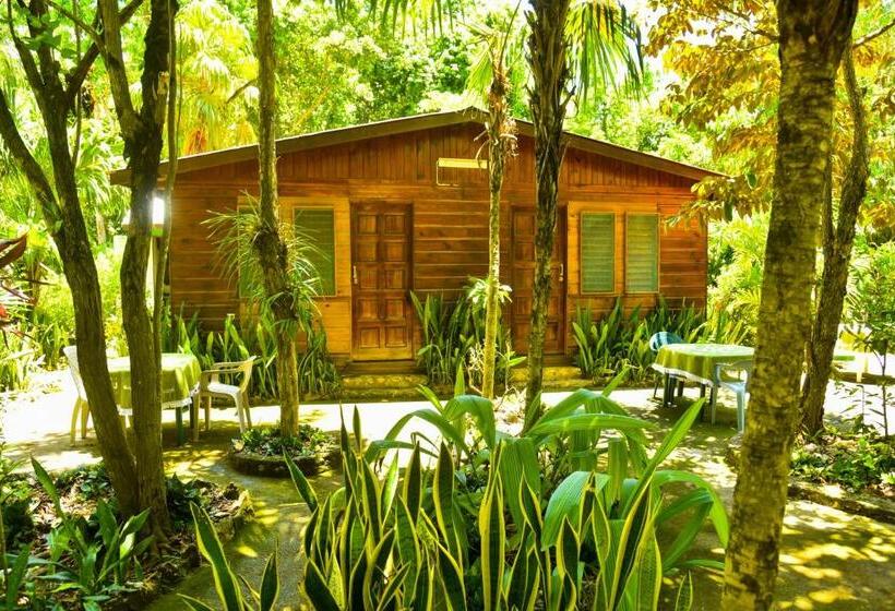 استودیو استاندارد با چشمانداز باغ, Lighthouse Inn 2