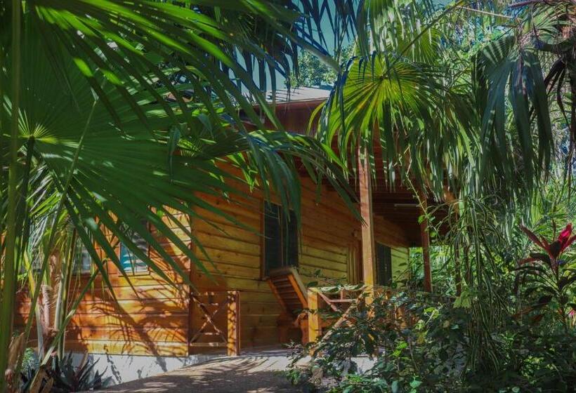 بانگلوی لوکس, Lighthouse Inn 2