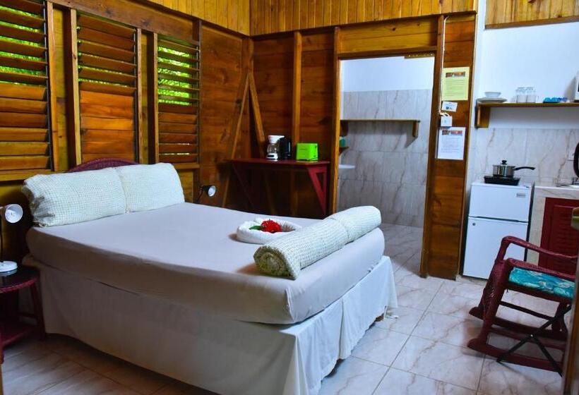 استودیوی لوکس, Lighthouse Inn 2